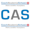 Logo von CAS: Ein stilisiertes Icon in Blau und Grau, das ein diagonales Diagramm und ein Netz von Linien darstellt.